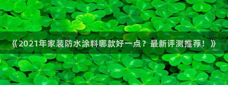 深圳和记科技有限公司：《2021年家装防水涂料哪款好一点？最新评测推荐！》