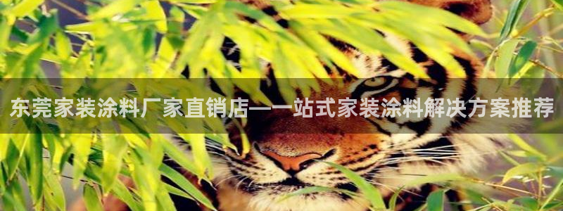 和记网页