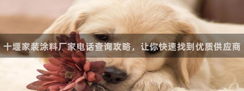 和记ag：十堰家装涂料厂家电话查询攻略，让你快速找到优质供应商