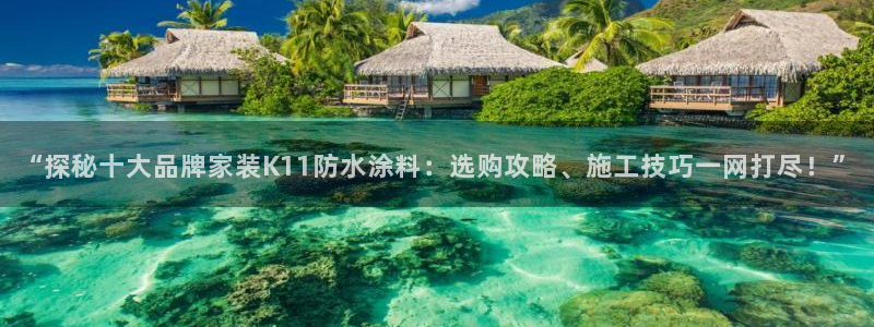 和记ag：“探秘十大品牌家装K11防水涂料：选购攻略、施工技巧一网打尽！”