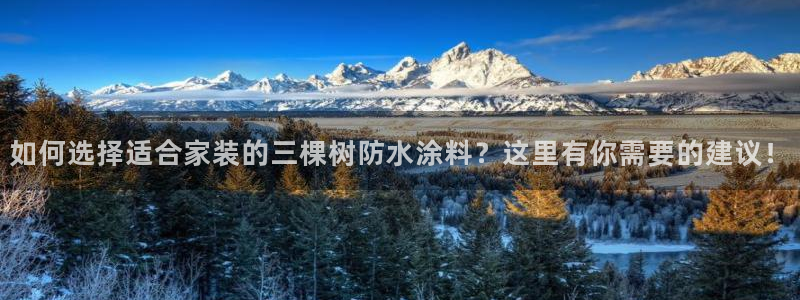 和记AG：如何选择适合家装的三棵树防水涂料？这里有你需要的建议！