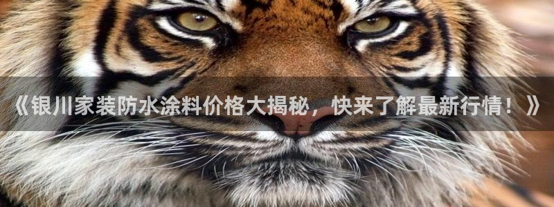 江苏和记数码科技有限公司：《银川家装防水涂料价格大揭秘，快来了解最新行情！》