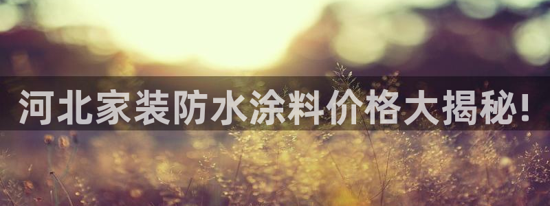 和记平台官方网：河北家装防水涂料价格大揭秘!