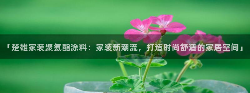 和记官网 公司：「楚雄家装聚氨酯涂料：家装新潮流，打造时尚舒适的家居空间」
