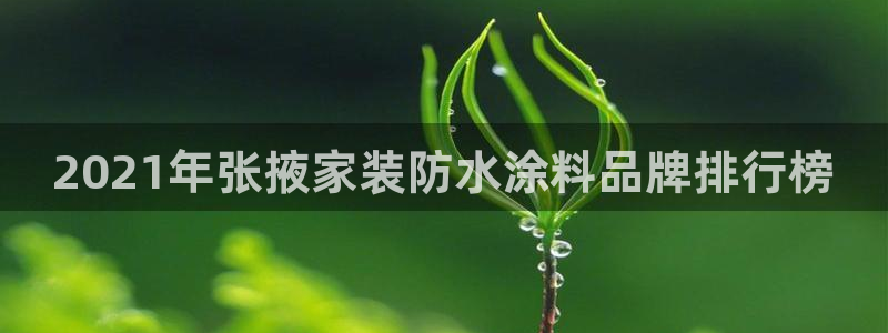 和记平台官方网：2021年张掖家装防水涂料品牌排行榜