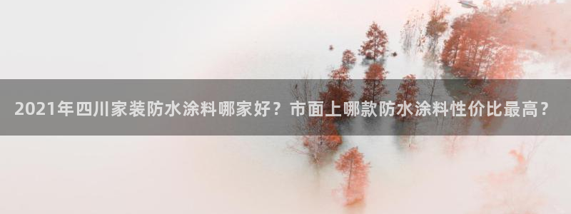 和记 中国官网：2021年四川家装防水涂料哪家好？市面上哪款防水涂料性价比最高？