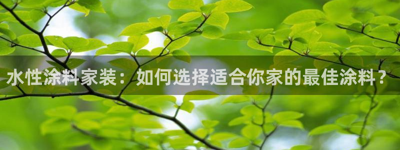 和记官方网站：水性涂料家装：如何选择适合你家的最佳涂料？