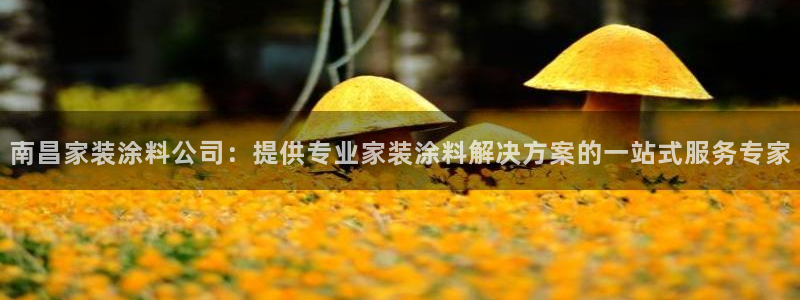 和记网页版登陆：南昌家装涂料公司：提供专业家装涂料解决方案的一站式服务专家