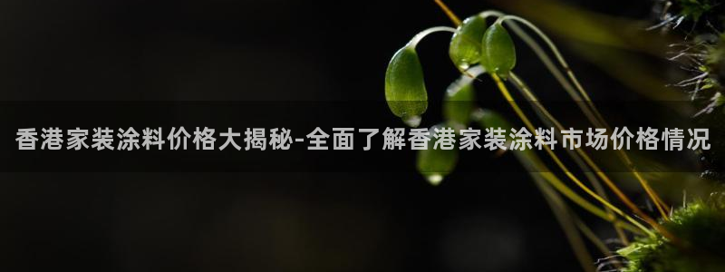 和记国际客服：香港家装涂料价格大揭秘-全面了解香港家装涂料市场价格情况