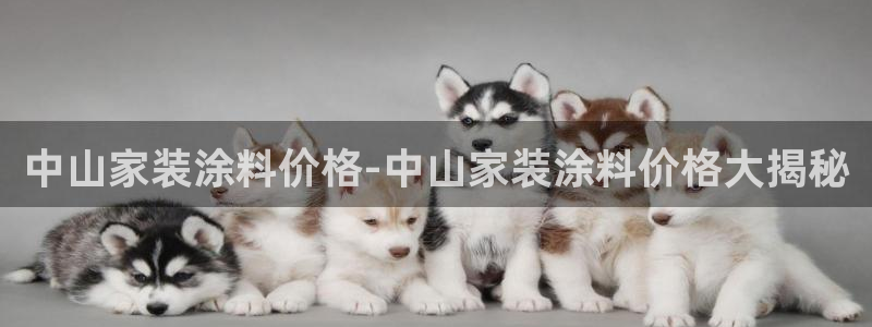 和记hj
