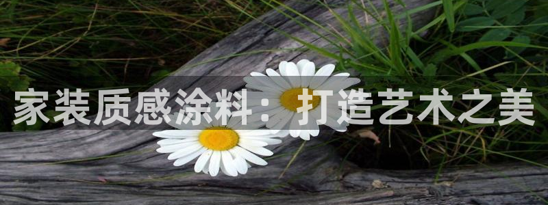和记官方：家装质感涂料：打造艺术之美