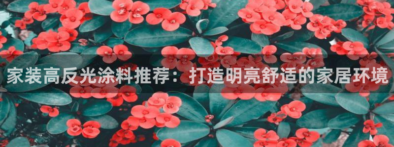 和记官网登录