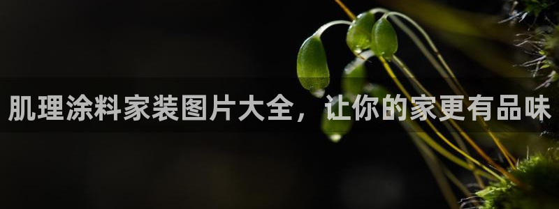 和记官网[中国]官方网站：肌理涂料家装图片大全，让你的家更有品味