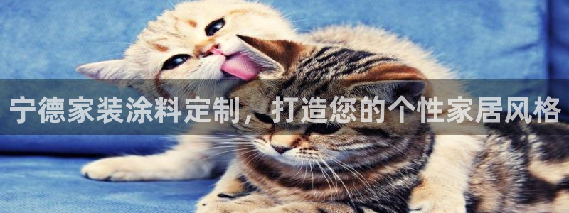 和记注册有什么送的：宁德家装涂料定制，打造您的个性家居风格
