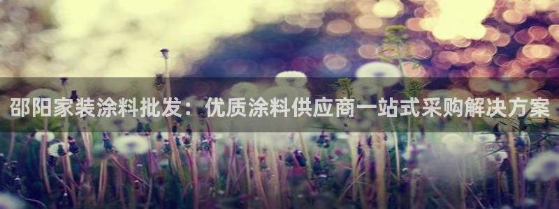 和记ag：邵阳家装涂料批发：优质涂料供应商一站式采购解决方案