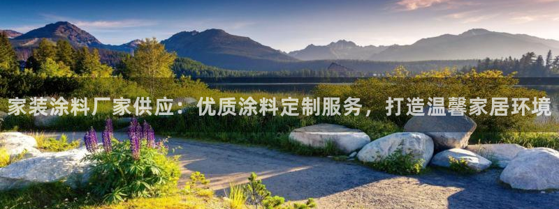 和记平台官网：家装涂料厂家供应：优质涂料定制服务，打造温馨家居环境