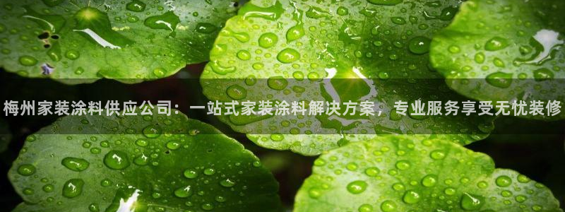 和记AG：梅州家装涂料供应公司：一站式家装涂料解决方案，专业服务享受无忧装修