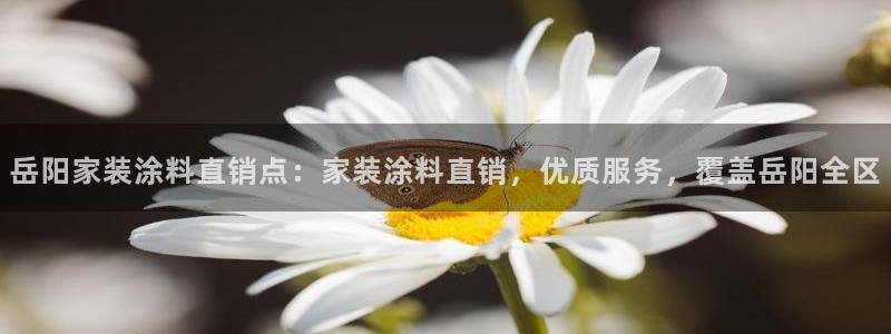 和记(福建)商贸有限公司：岳阳家装涂料直销点：家装涂料直销，优质服务，覆盖岳阳全区