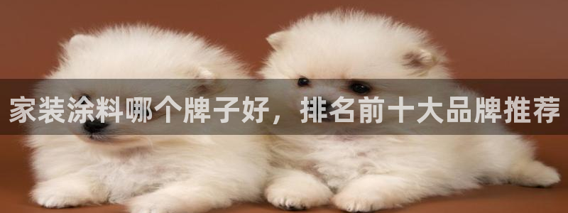 和记paging