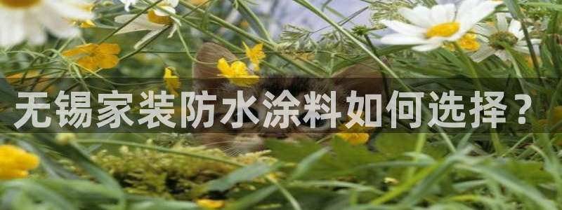 和记平台登陆