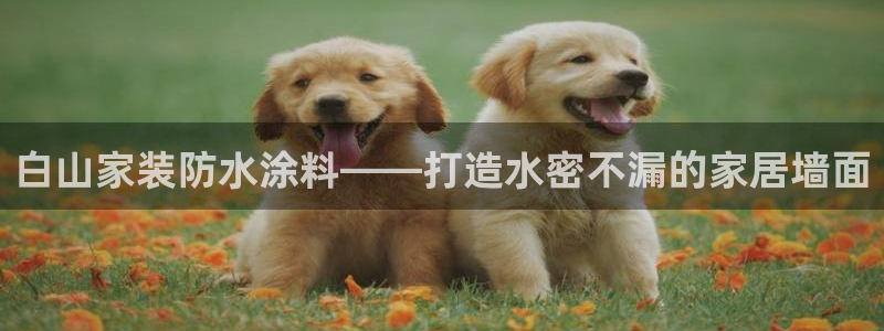 和记H88：白山家装防水涂料——打造水密不漏的家居墙面
