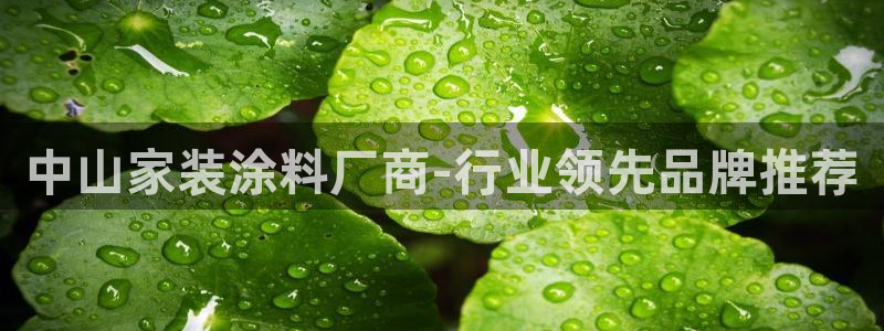 和记H88