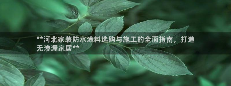 和记官网：**河北家装防水涂料选购与施工的全面指南，打造
无渗漏家居**