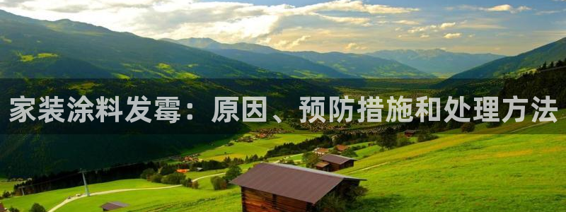 和记官方直营注册导航：家装涂料发霉：原因、预防措施和处理方法