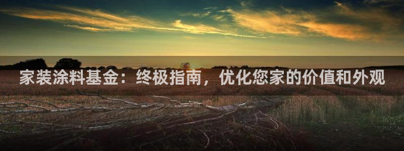 和记h8：家装涂料基金：终极指南，优化您家的价值和外观
