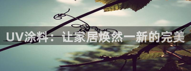 和记网页：UV涂料：让家居焕然一新的完美