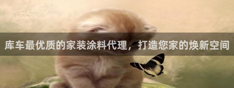 和记h8：库车最优质的家装涂料代理，打造您家的焕新空间