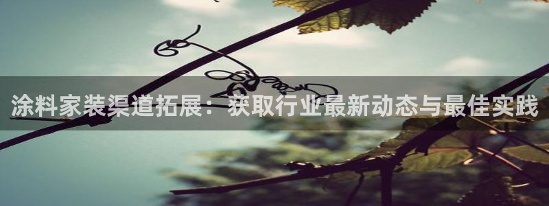 和记ag旗舰：涂料家装渠道拓展：获取行业最新动态与最佳实践