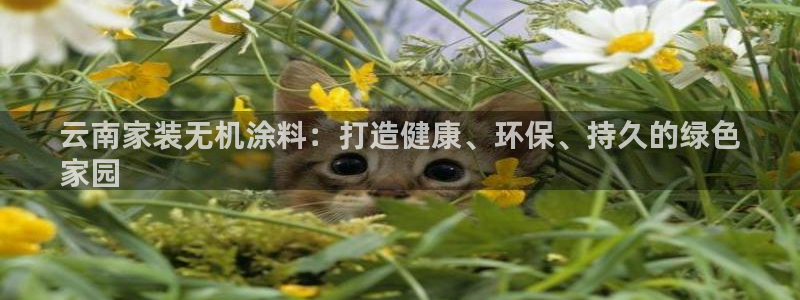 和记ag旗舰厅：云南家装无机涂料：打造健康、环保、持久的绿色
家园
