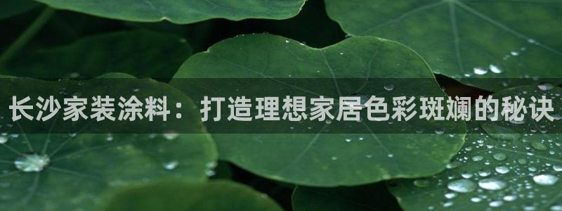 和记国际开户