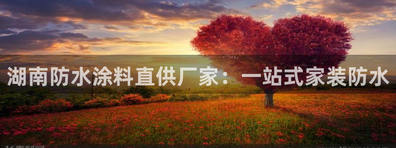 和记网页版