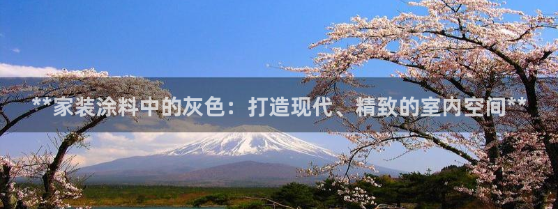 和记平台官方网：**家装涂料中的灰色：打造现代、精致的室内空间**