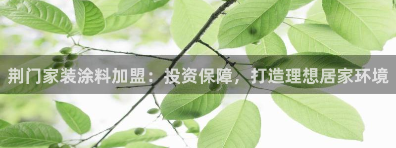 和记平台：荆门家装涂料加盟：投资保障，打造理想居家环境