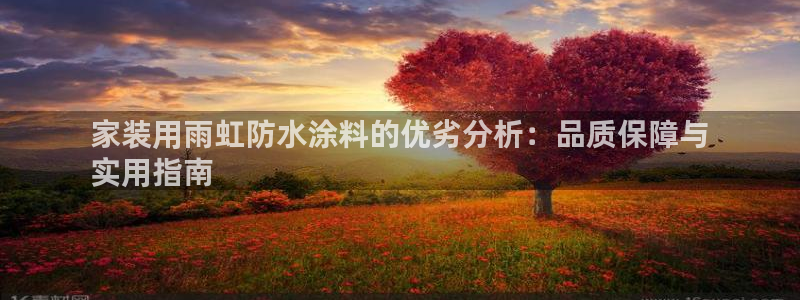 下载和记app：家装用雨虹防水涂料的优劣分析：品质保障与
实用指南