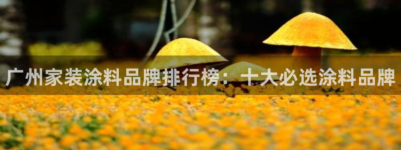 和记AG旗舰