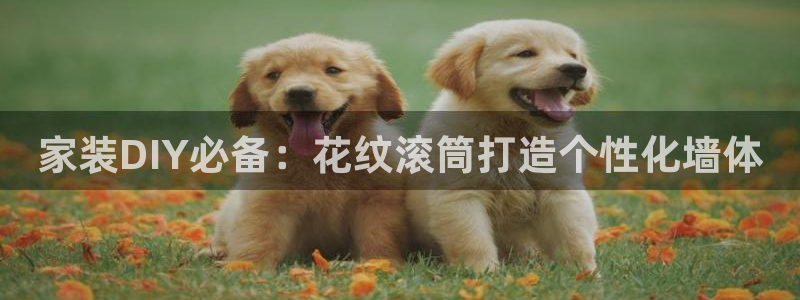 和记官方直营注册：家装DIY必备：花纹滚筒打造个性化墙体
