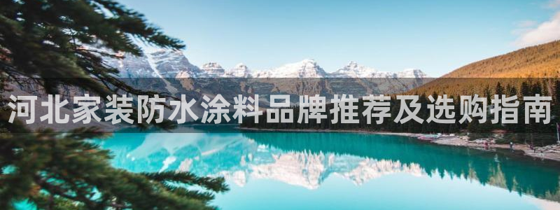 和记ag登录：河北家装防水涂料品牌推荐及选购指南