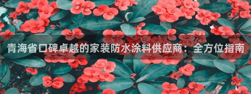 和记pc：青海省口碑卓越的家装防水涂料供应商：全方位指南