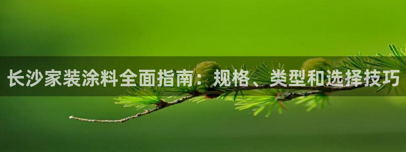 和记官网登录：长沙家装涂料全面指南：规格、类型和选择技巧