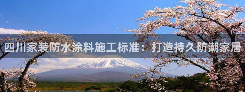 和记(福建)商贸有限公司：四川家装防水涂料施工标准：打造持久防潮家居
