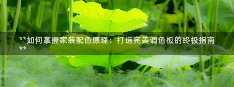 下载和记app