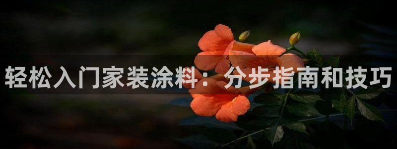 和记官方平台：轻松入门家装涂料：分步指南和技巧