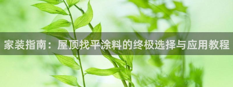 和记登陆：家装指南：屋顶找平涂料的终极选择与应用教程