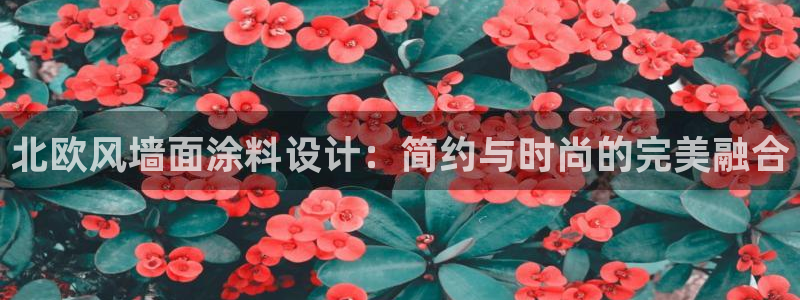 和记AG旗舰：北欧风墙面涂料设计：简约与时尚的完美融合