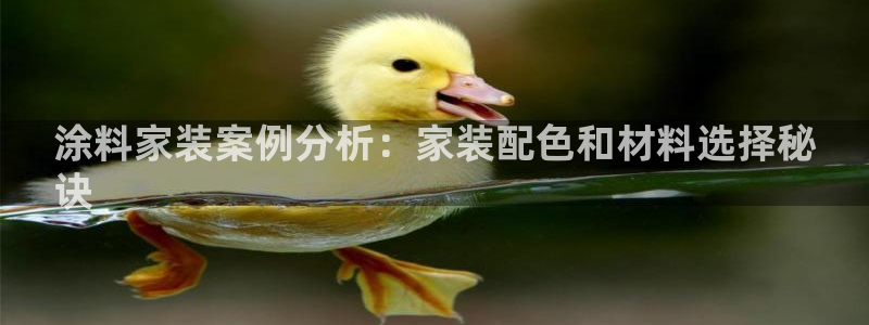 和记 中国首页：涂料家装案例分析：家装配色和材料选择秘
诀