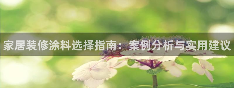 和记平台登陆：家居装修涂料选择指南：案例分析与实用建议